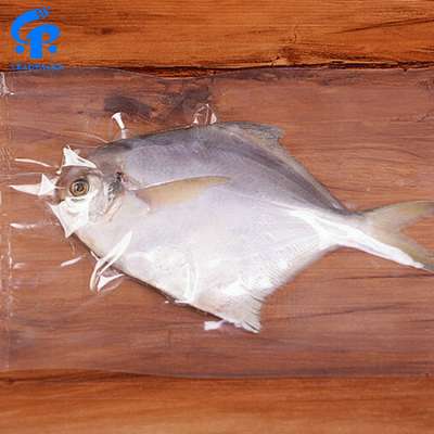 Transparent Frozen Food Vacuum Seal Plastic Packaging Bags For Fish